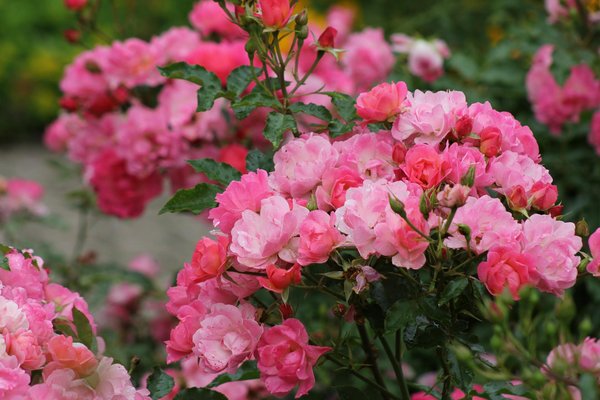 Guia criativo para montar um jardim sensorial infantil incrível