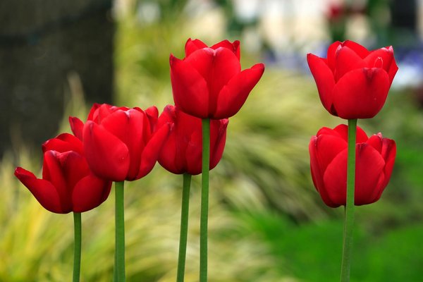 Como aumentar o valor de revenda de uma propriedade?